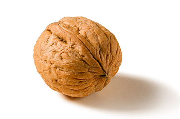 Still life with a whole walnut on white background.