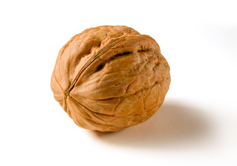 Still life with a whole walnut on white background.