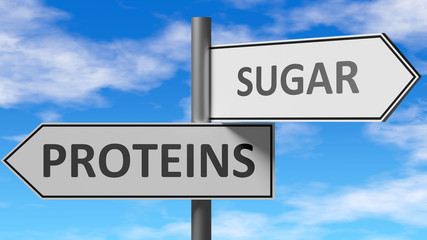 Obraz premium Proteins and sugar as a choice - pictured as words Proteins, sugar on road signs to show that when a person makes decision he can choose either Proteins or sugar as an option, 3d illustration