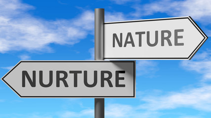 Fototapeta na wymiar Nurture and nature as a choice - pictured as words Nurture, nature on road signs to show that when a person makes decision he can choose either Nurture or nature as an option, 3d illustration
