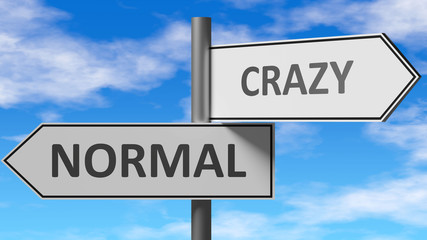 Obraz premium Normal and crazy as a choice - pictured as words Normal, crazy on road signs to show that when a person makes decision he can choose either Normal or crazy as an option, 3d illustration