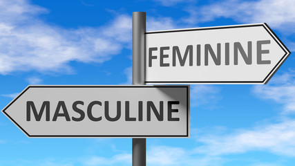 Fototapeta na wymiar Masculine and feminine as a choice, pictured as words Masculine, feminine on road signs to show that when a person makes decision he can choose either option, 3d illustration