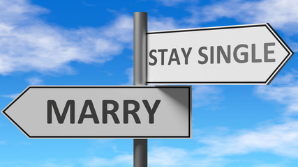 Obraz premium Marry and stay single as a choice - pictured as words Marry, stay single on road signs to show that when a person makes decision he can choose either Marry or stay single as an option, 3d illustration