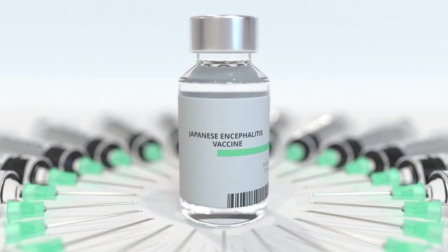 Vial with japanese encephalitis vaccine and syringes. Conceptual medical 3D animation