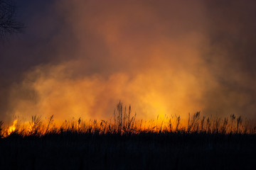 Dry grass burns at night. Pastures and meadows in the countryside. An environmental disaster...