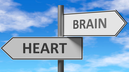 Fototapeta premium Heart and brain as a choice - pictured as words Heart, brain on road signs to show that when a person makes decision he can choose either Heart or brain as an option, 3d illustration