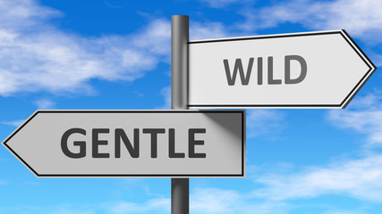 Gentle and wild as a choice - pictured as words Gentle, wild on road signs to show that when a person makes decision he can choose either Gentle or wild as an option, 3d illustration