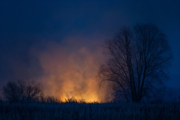 Obraz premium Dry grass burns at night. Pastures and meadows in the countryside. An environmental disaster involving irresponsible people. Luxurious mystical night landscapes shot on a 300mm lens.