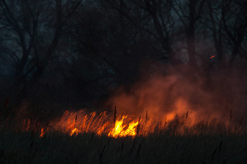 Dry grass burns at night. Pastures and meadows in the countryside. An environmental disaster involving irresponsible people. Luxurious mystical night landscapes shot on a 300mm lens.