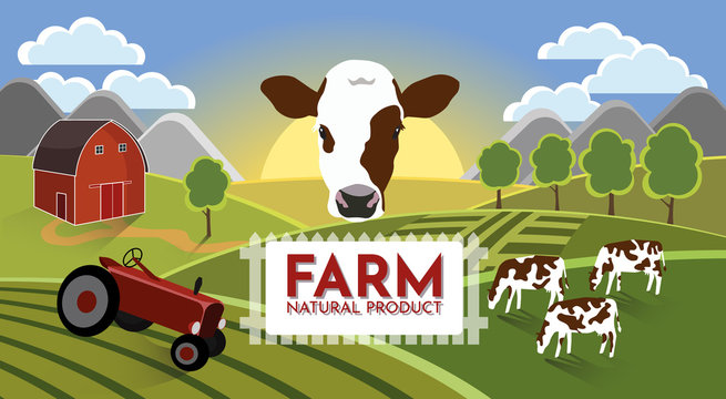 Cow in field. Summer rural landscape with cows and farm, dawn above hills, with tematic label.