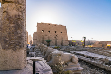 Luxor Temple, Egypt - 321636743