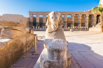 Luxor Temple, Egypt - 321636968