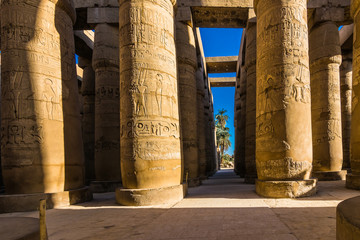 Luxor Temple, Egypt - 321637113