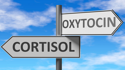 Obraz premium Cortisol and oxytocin as a choice - pictured as words Cortisol, oxytocin on road signs to show that when a person makes decision he can choose either Cortisol or oxytocin as an option, 3d illustration