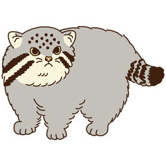 マヌルネコ　全身　横向き