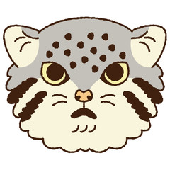 マヌルネコ　顔　正面