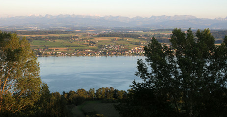 Fototapeta na wymiar Lac de Morat / Murten