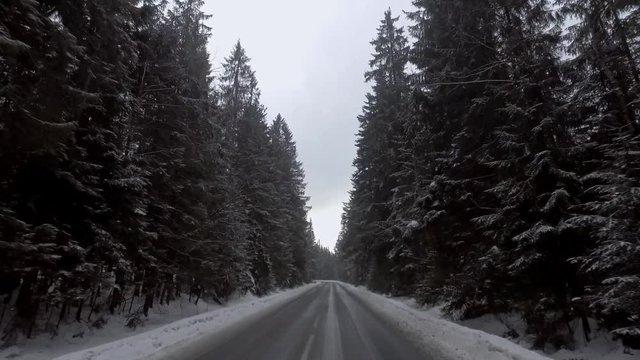 Car driving through snowy road in forest