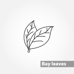 Bay Leaves thin line vector icon