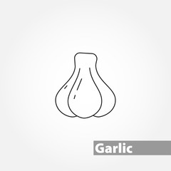 Garlic thin line vector icon