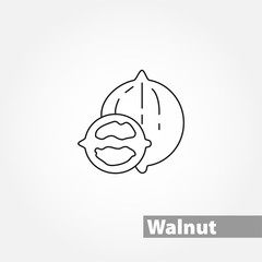walnut thin line vector icon