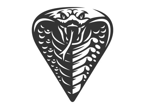 Vector head of a snake, king cobra  illustration, logotype, print, emblem design on a white background.
