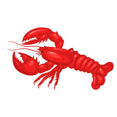 Lobster Isolated on a white background. Vector graphics.