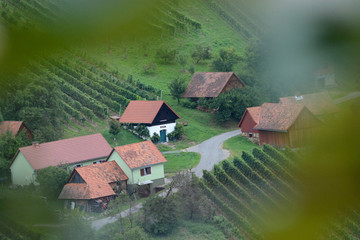 Naklejka premium landscape and details in southern Styria, Austria
