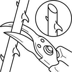 Cutting stems and roots