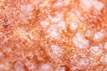 Salami meat sausage close-up. Macro photo