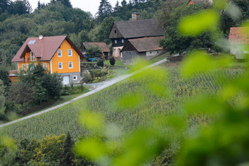 Fototapeta premium landscape and details in southern Styria, Austria
