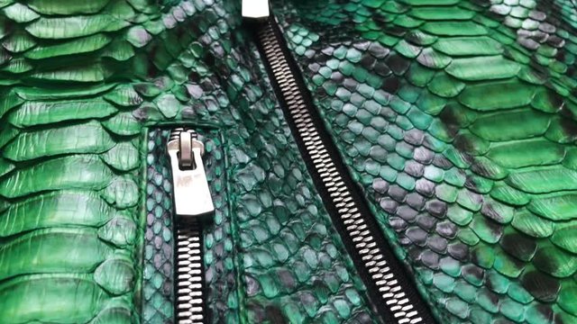 Green snakeskin python texture. Fashion luxury leather jacket close up.