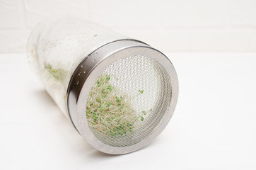 Glass jar with a metal lid and sieve, for microgreen, young sprouts of radish, lucerne, fenugreek plants on white background