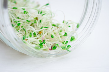 Young microgreen radish, sieve, lucerne sprouts lie in a transparent jar, macro shot on a white background
