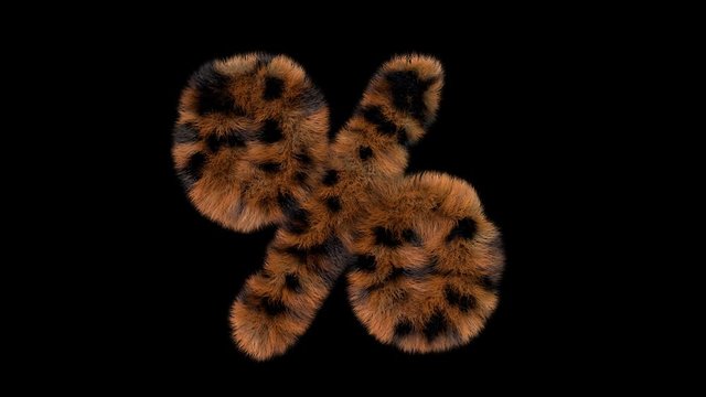 3d animated furry leopard typeface text with alpha channel  percent