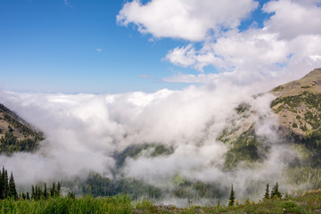 Mountains Landscape at Olympic National Park, Olympic Peninsula, Washington State US
