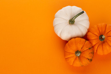 Creative Top view flat lay pumkin composition.