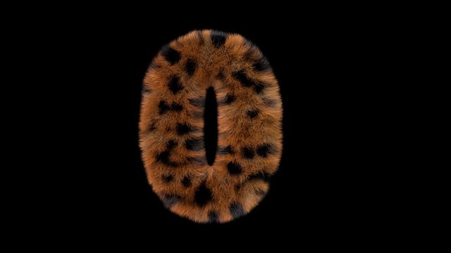 3d animated furry leopard typeface text with alpha channel  0