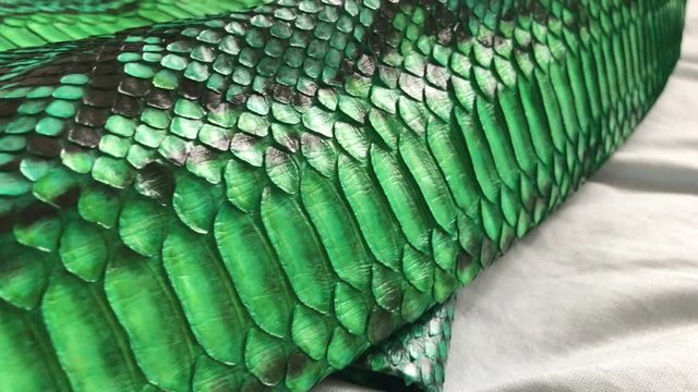 Green snakeskin python texture. Fashion luxury leather jacket close up.