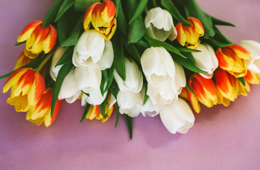 Red, yellow and white tulips lying on pink background, top view