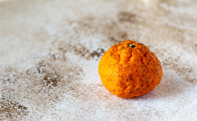 Ugly organic mandarins with rough thick skin. Trendy ugly fruit concept. Copy space, horizontal orientation