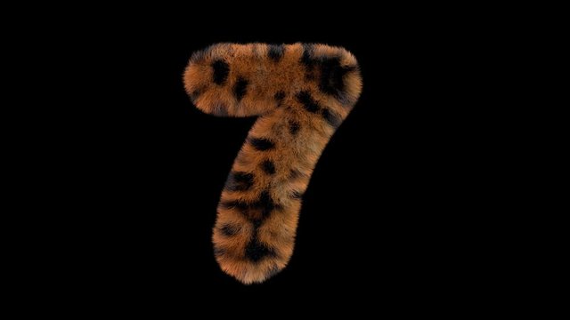 3d animated furry leopard typeface text with alpha channel  7