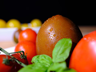 close up of variants of tomatoes decorated with basil, covered with fresh water drops, in front of a dark background