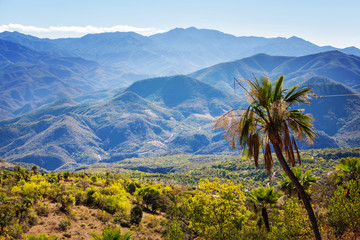 Fototapeta na wymiar Mountains in Mexico