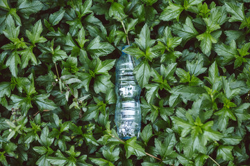 Clear plastic bottles on the green leafs background, Global warming concept