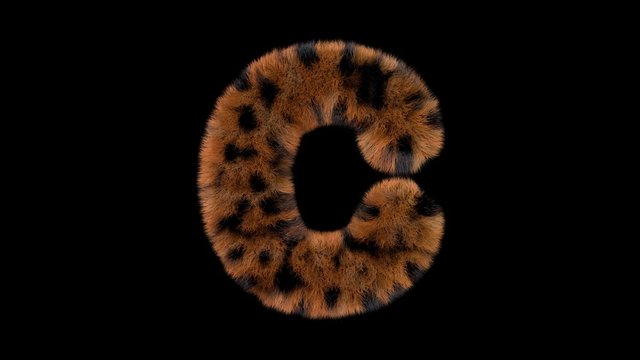 3d animated furry leopard typeface text with alpha channel C