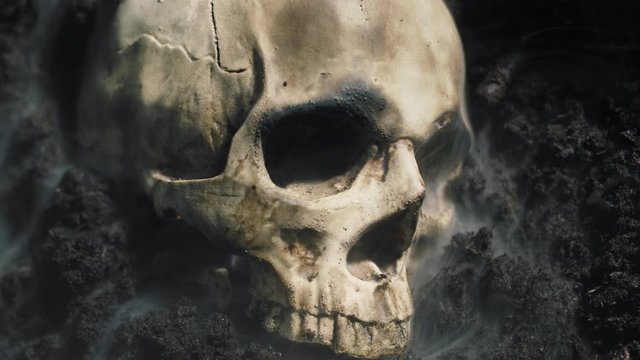 Human skull on the wet soild with smoke flowing