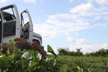 O caminho é  agarrador, entretanto as rodas são brutas. 
