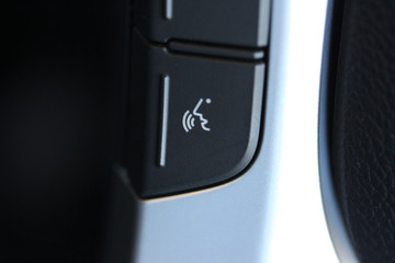 Speech button in luxury vehicle