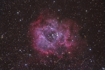 Naklejka na ściany i meble The Rosette Nebula with the open star cluster NGC2244 at the centre , Cornwall, UK